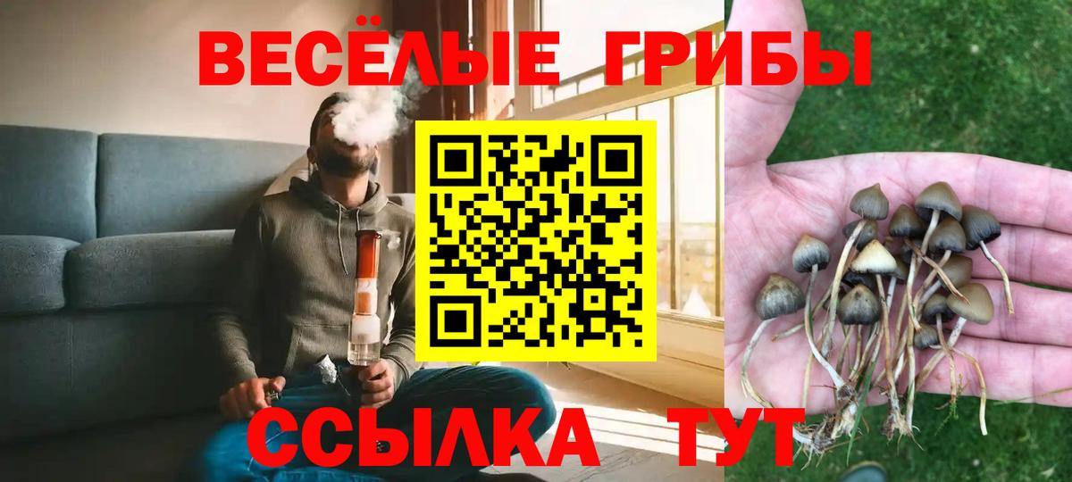 Ульяновск  Галлюциногенные грибы GOLDEN TEACHER  Псилоцибиновые грибы Psilocybe  Вход с VPN 